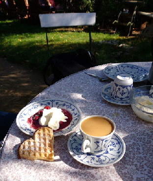 Lecker frisch gebackene Waffeln mit Roter Grütze und Sahne Lecker frisch gebackene Waffeln mit Roter Grütze und Sahne